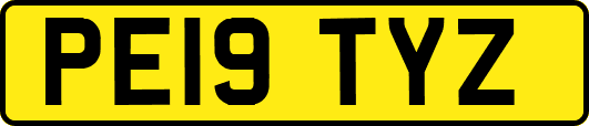 PE19TYZ