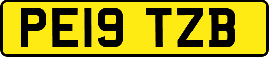PE19TZB