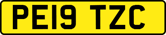 PE19TZC
