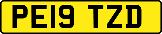 PE19TZD