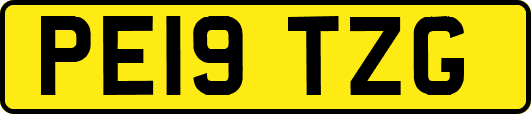 PE19TZG