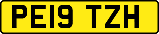 PE19TZH