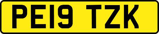 PE19TZK