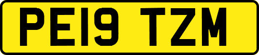 PE19TZM