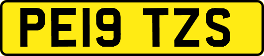 PE19TZS