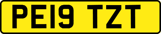 PE19TZT