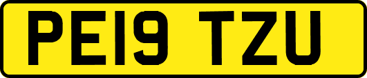 PE19TZU