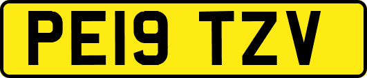 PE19TZV