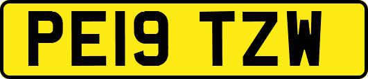 PE19TZW