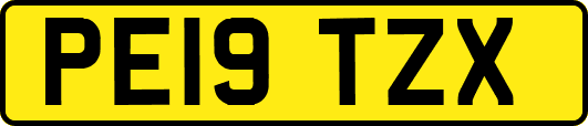 PE19TZX
