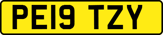 PE19TZY