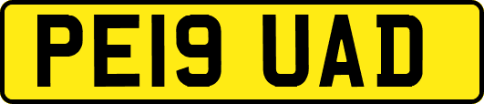 PE19UAD
