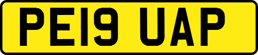 PE19UAP
