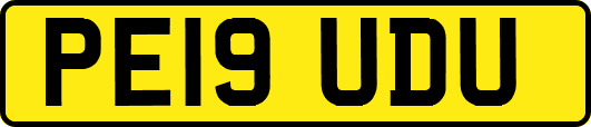 PE19UDU