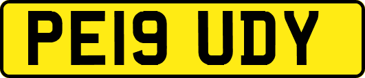PE19UDY
