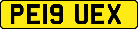 PE19UEX
