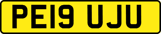 PE19UJU