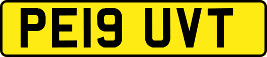 PE19UVT