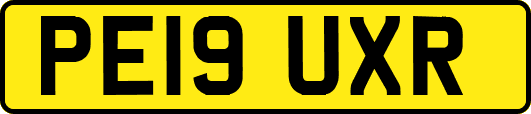 PE19UXR