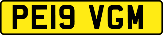 PE19VGM