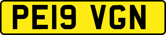 PE19VGN