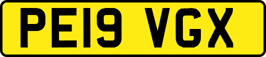 PE19VGX