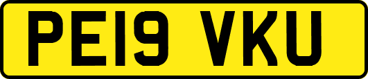 PE19VKU