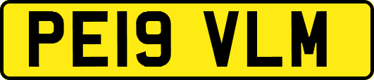 PE19VLM