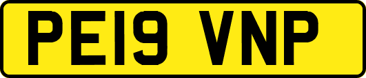 PE19VNP