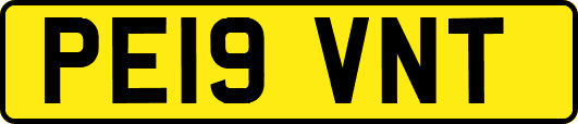 PE19VNT