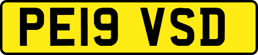 PE19VSD