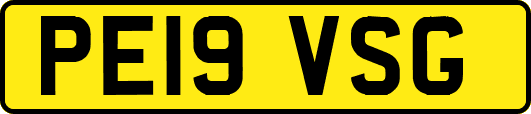 PE19VSG