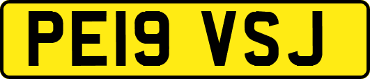 PE19VSJ