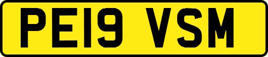 PE19VSM