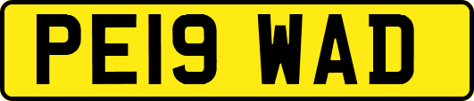 PE19WAD