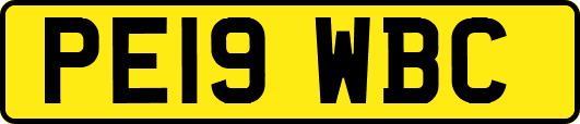 PE19WBC