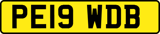 PE19WDB