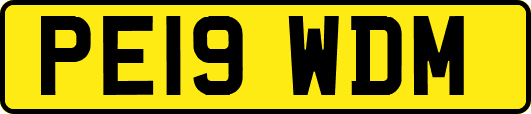 PE19WDM