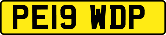 PE19WDP