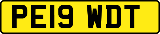 PE19WDT