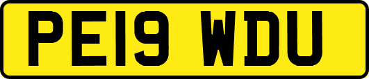 PE19WDU