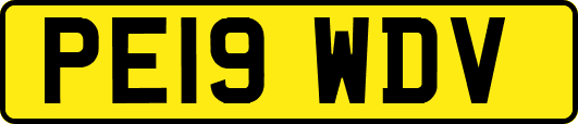 PE19WDV