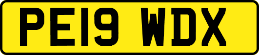 PE19WDX