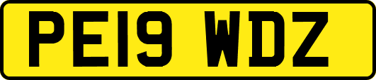 PE19WDZ