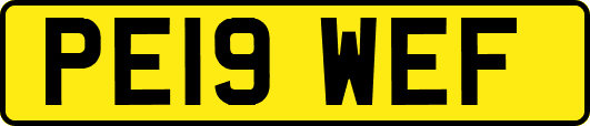 PE19WEF