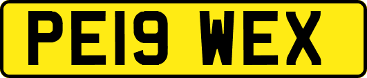 PE19WEX
