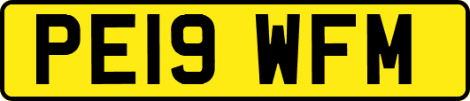PE19WFM