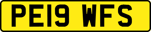 PE19WFS