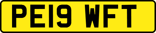 PE19WFT