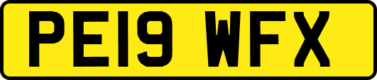 PE19WFX